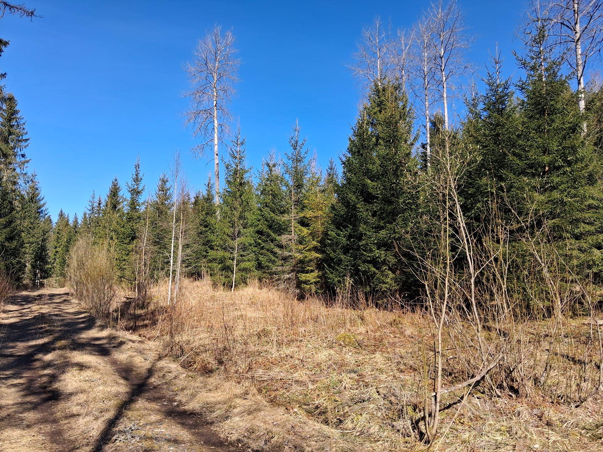 Määräala kiinteistöstä 505-412-3-118 Sipilä II 1