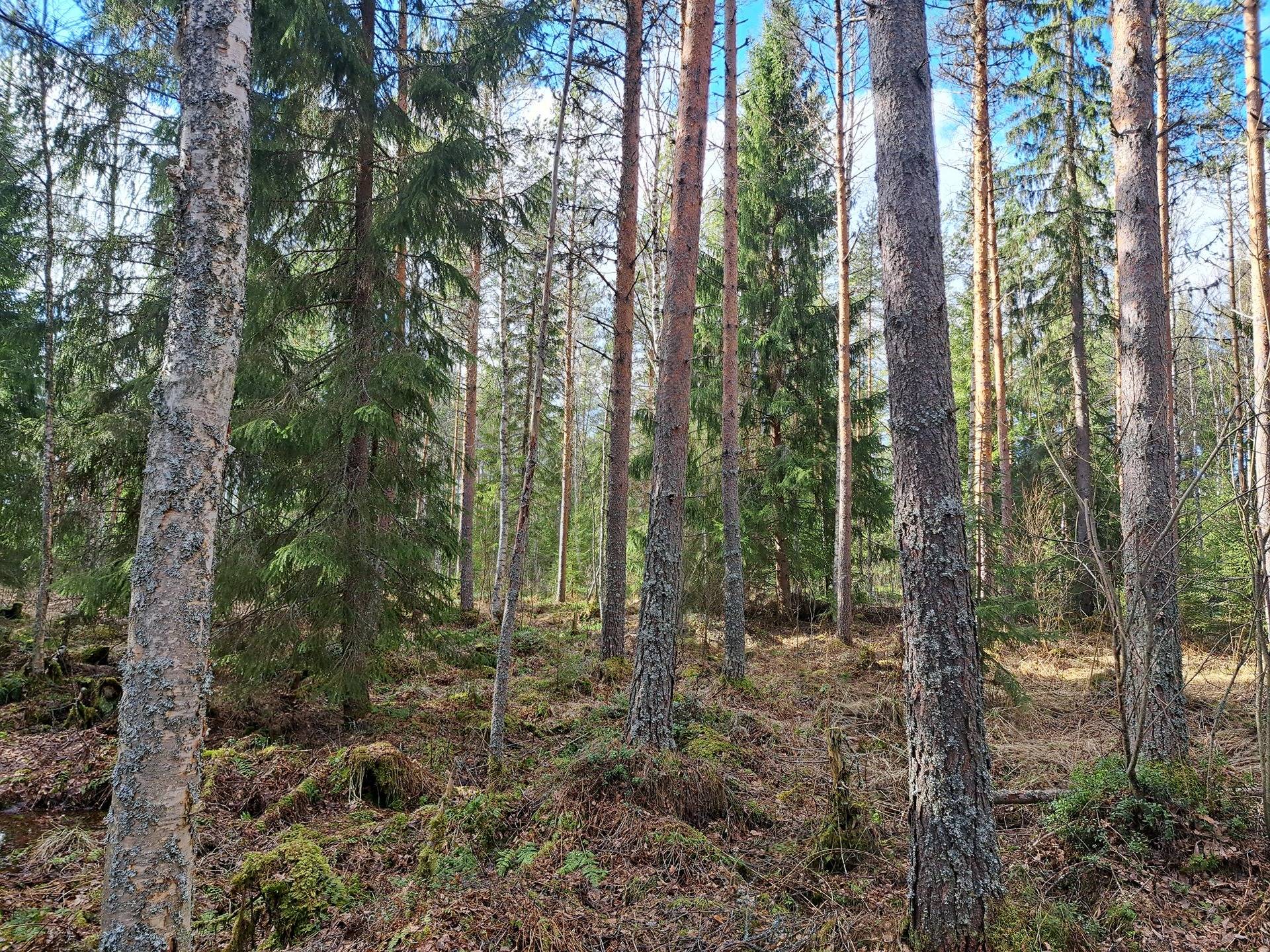 Kopero 791-412-16-53 1