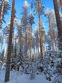 HUKKALA 260-420-7-36 Potoskavaara 1