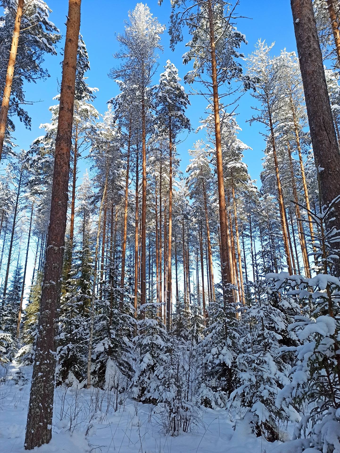 HUKKALA 260-420-7-36 Potoskavaara 1