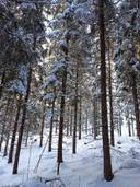 ITÄPALSTA 260-420-3-16, OJANTAUS 260-420-3-5 ja TAUNONMAA 260-420-27-0 1