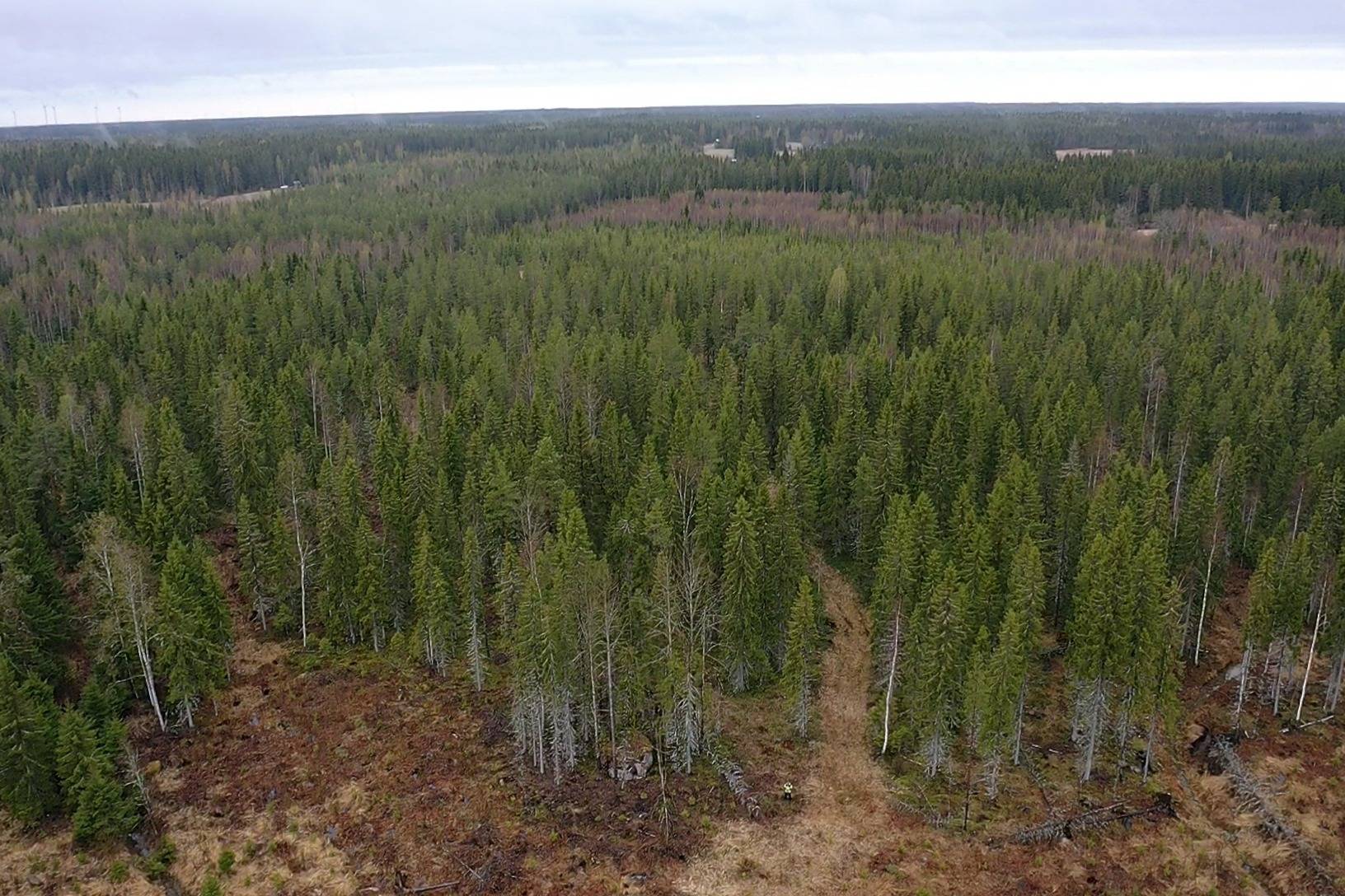 ORJALA 1