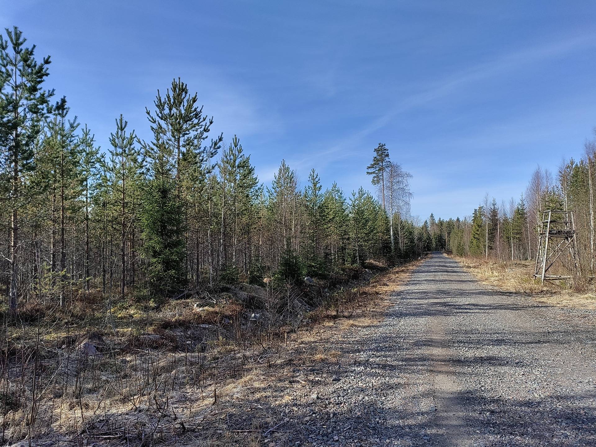 Niittylehto 678-418-4-128 1