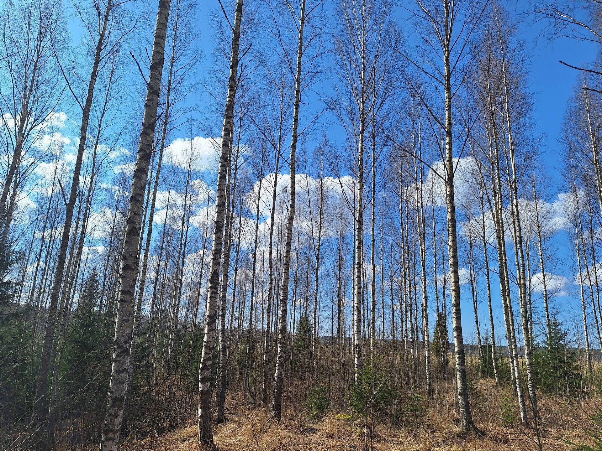 Pöytyä, Uusikartano, Eetula 1-1100 1