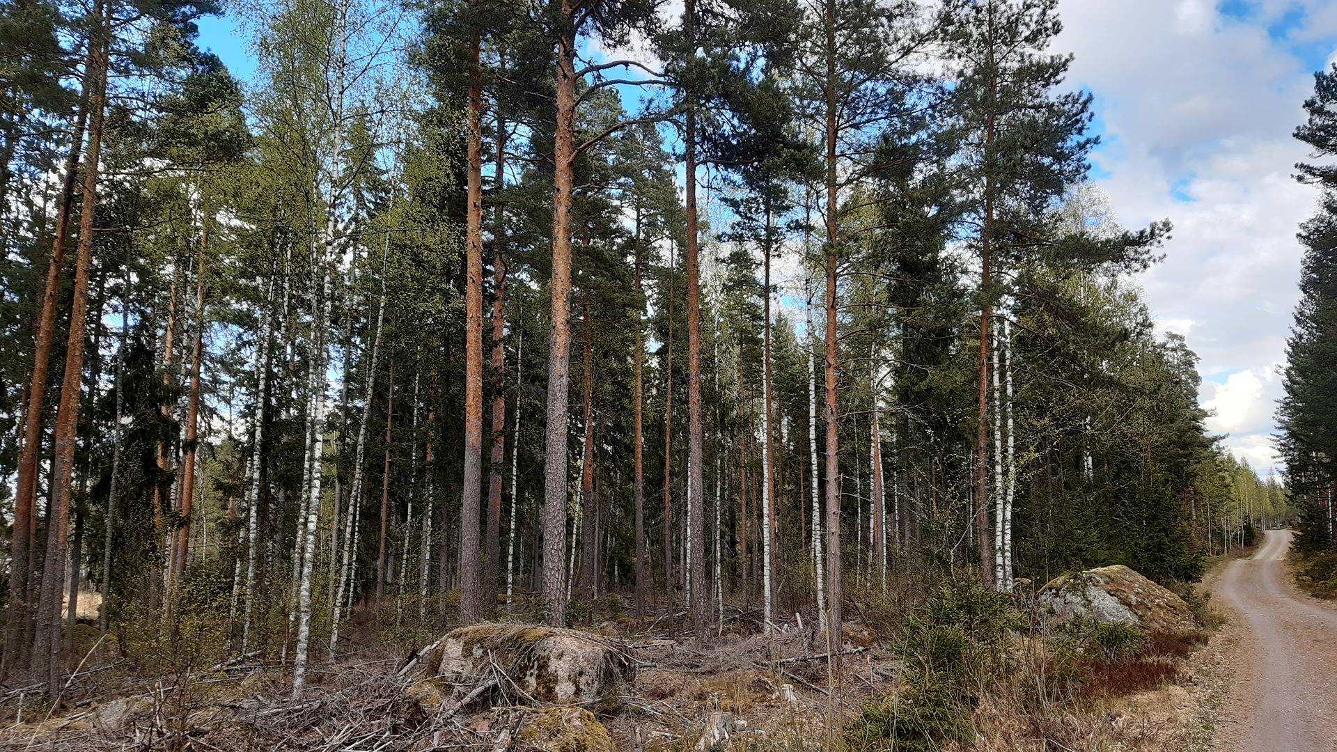 Lägerområdet 1:293 1
