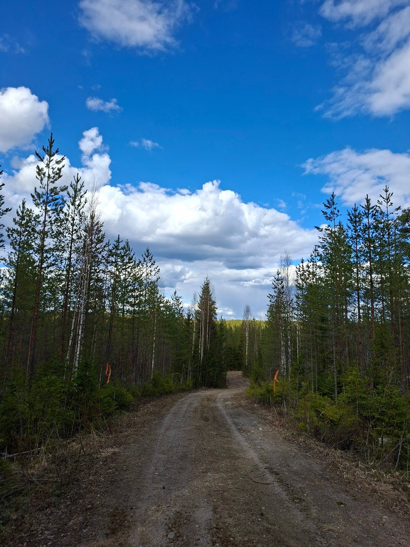Kansikuva kohteelle KESKITALO 911-401-5-5, Verkkojoki