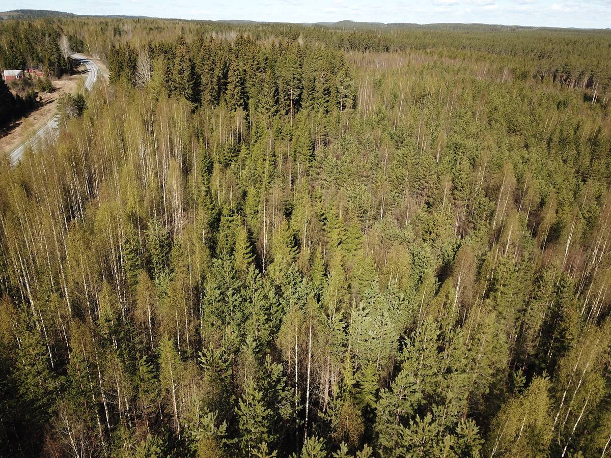 Cover photo for the object 309-408-29-33 PALOMÄKI ja 309-408-29-34 Notkola