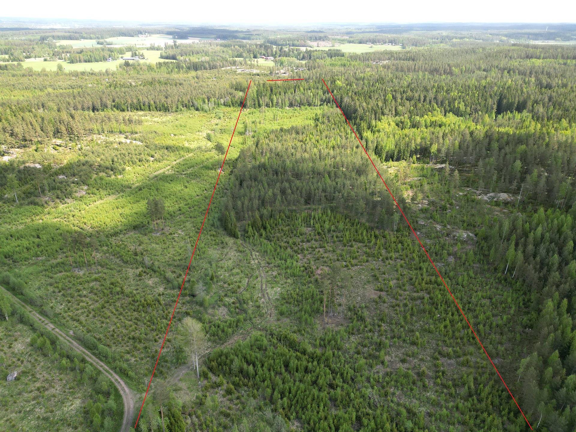 Metsätila Ainola 1:26, Salo, Kesälä 1