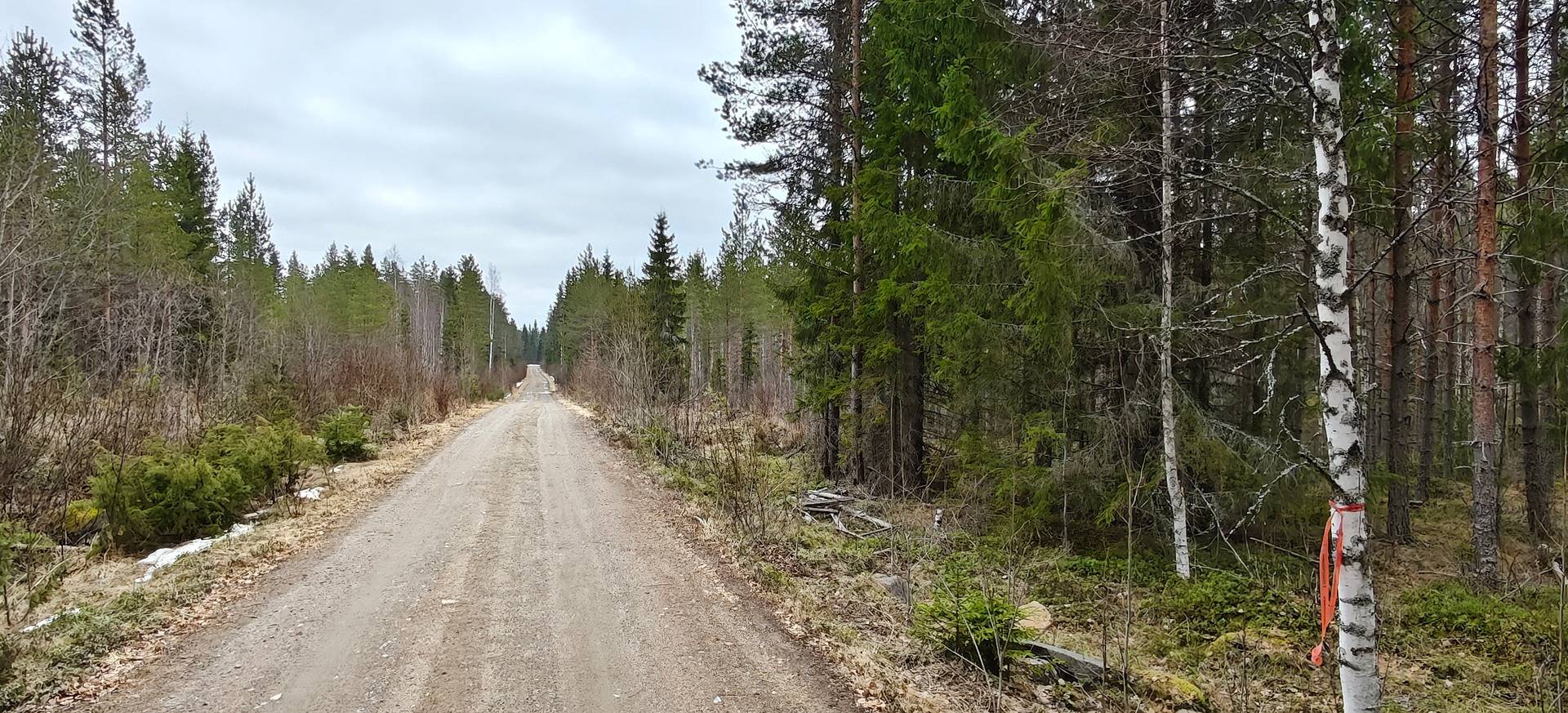 Kangaskylä, Multila 256-401-1-132 1