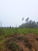 YLITALO OSA 151-405-5-60 1