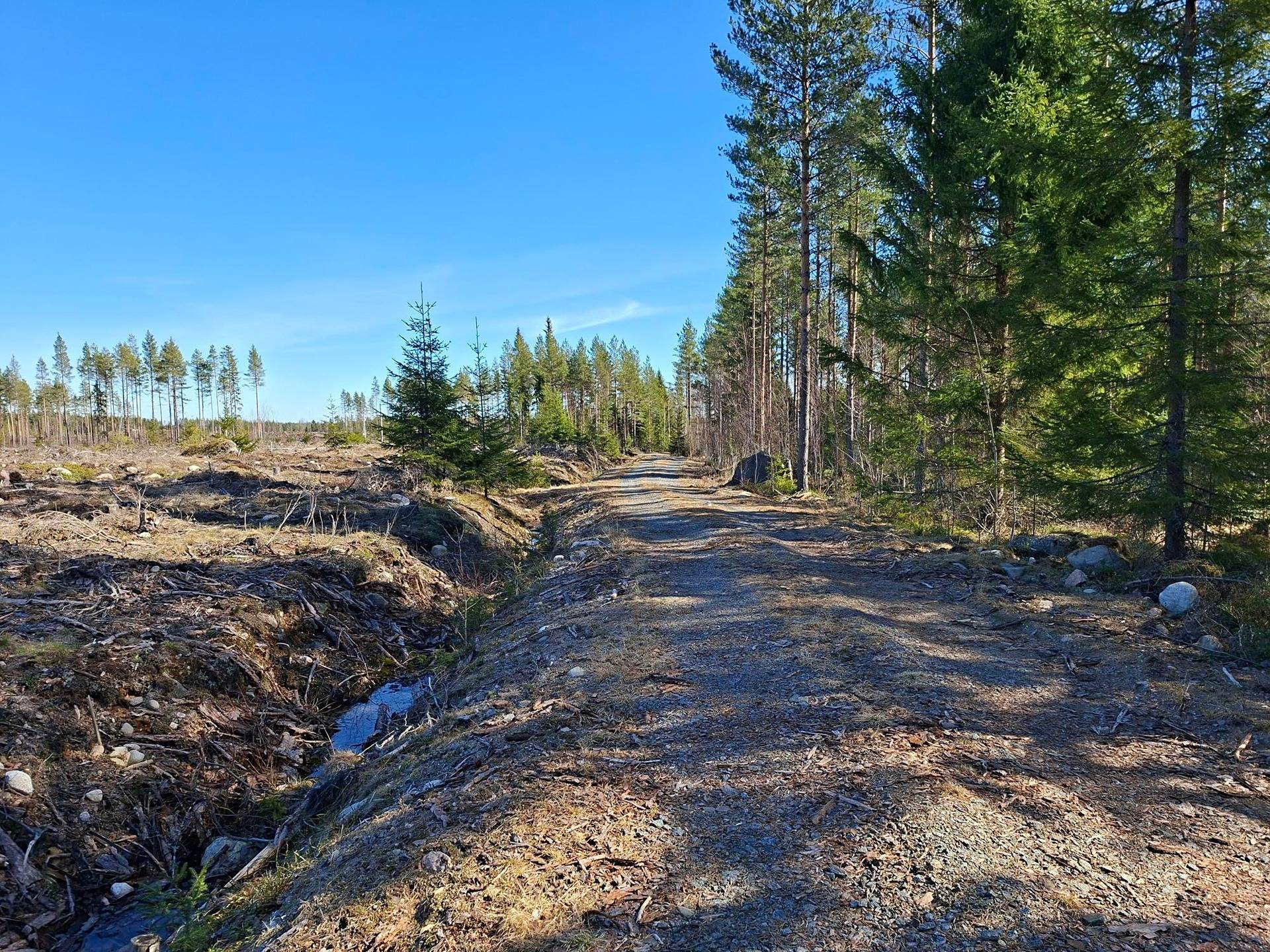 Metsätila Vatula 30:2 1