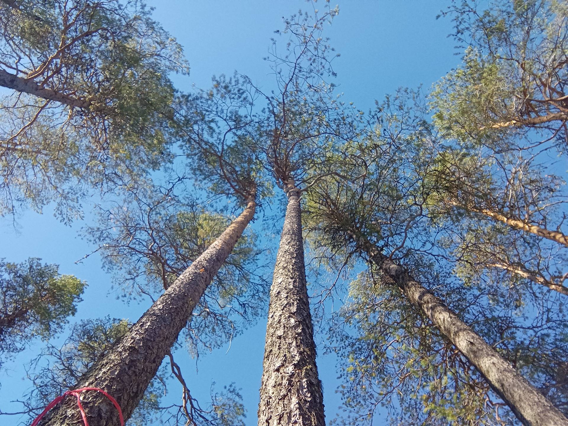 Parkkinen 305-423-59-7 1