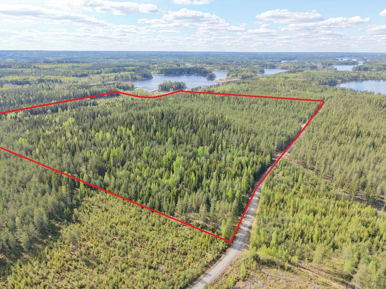 Ruovesi, Visuvesi, Ruohosenmäki, metsätila 1