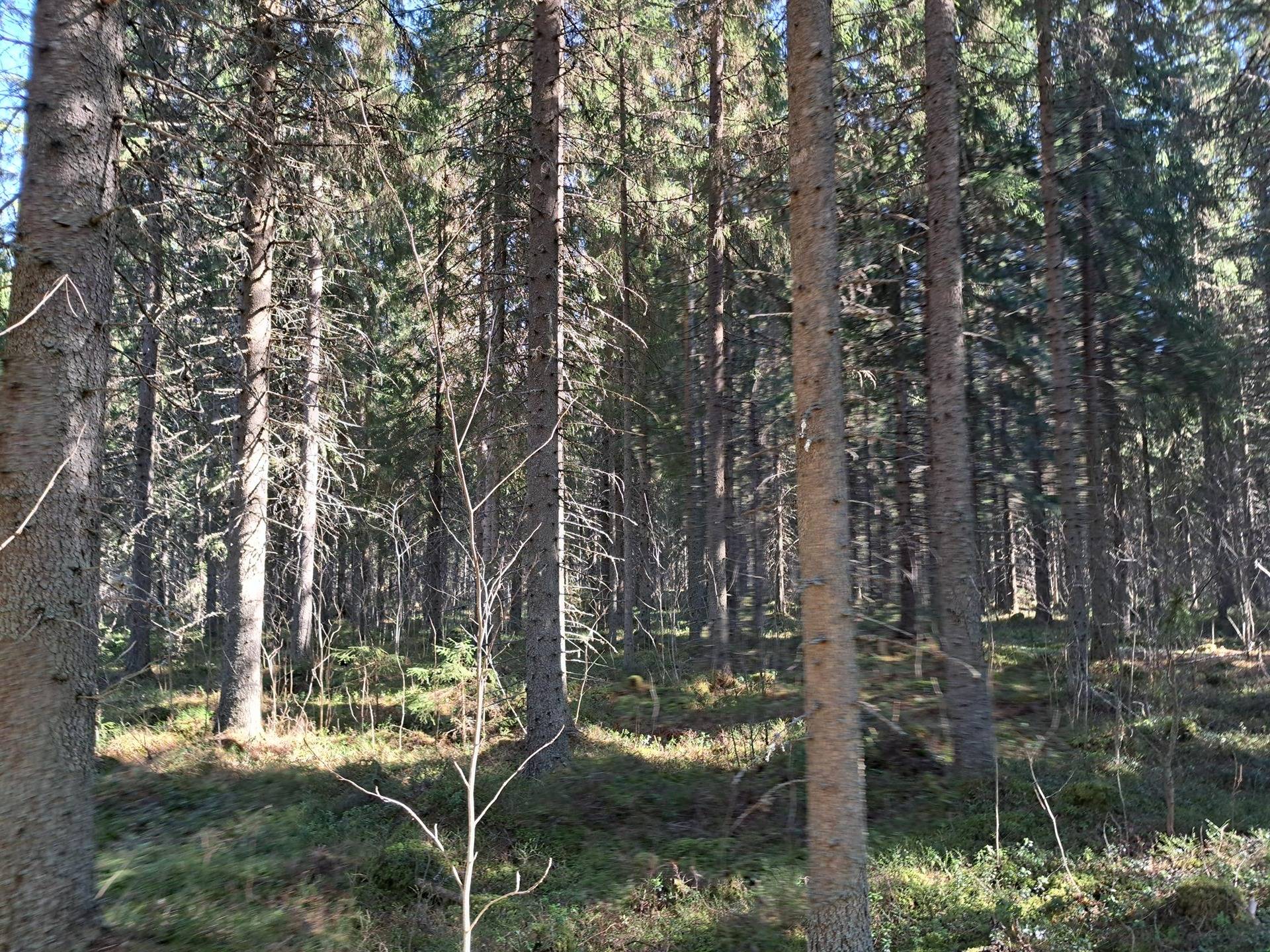 Heikkilä 791-420-27-1 1