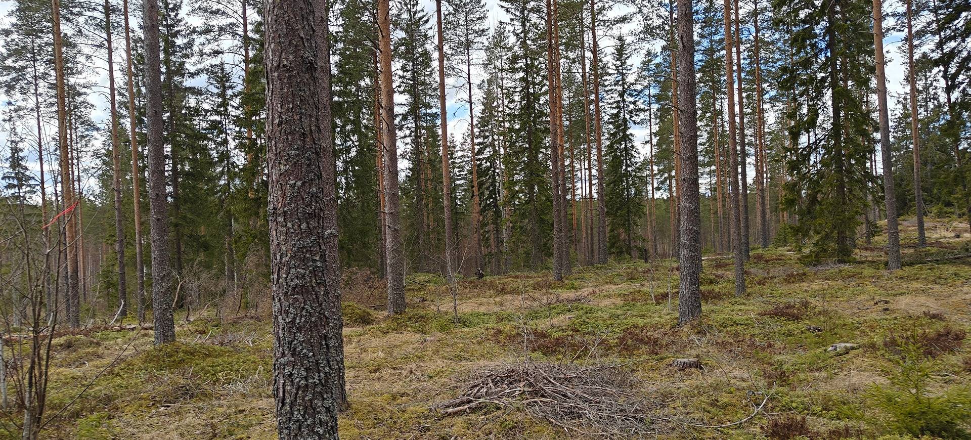 Soini, Sivula 759-404-3-102 1