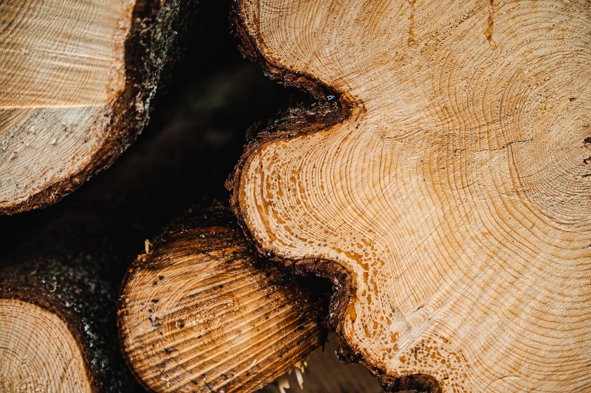 del av/osa Svarvar 30:5, Kvevlax/Koivulahti 1