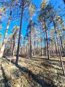 Kankaala ma 748-405-3-82 1