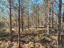 Grynngärdsskogsskiftet 16:45, Tjöck/Tiukka 1