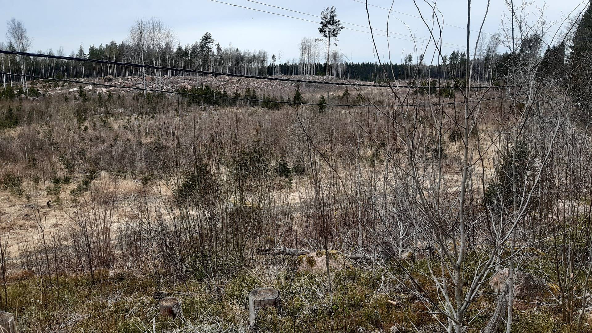 HÖGNÄS 24:125 ja NOTSJÖ 24:126 1