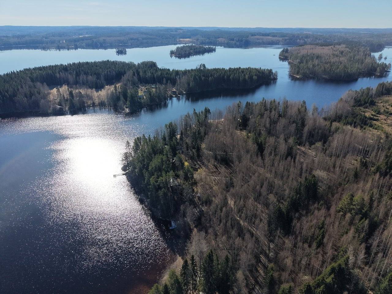 Ruovesi, Murole, tontti/metsä, Rinne 1