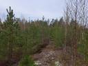 Kangasrinne 286-417-4-259 1