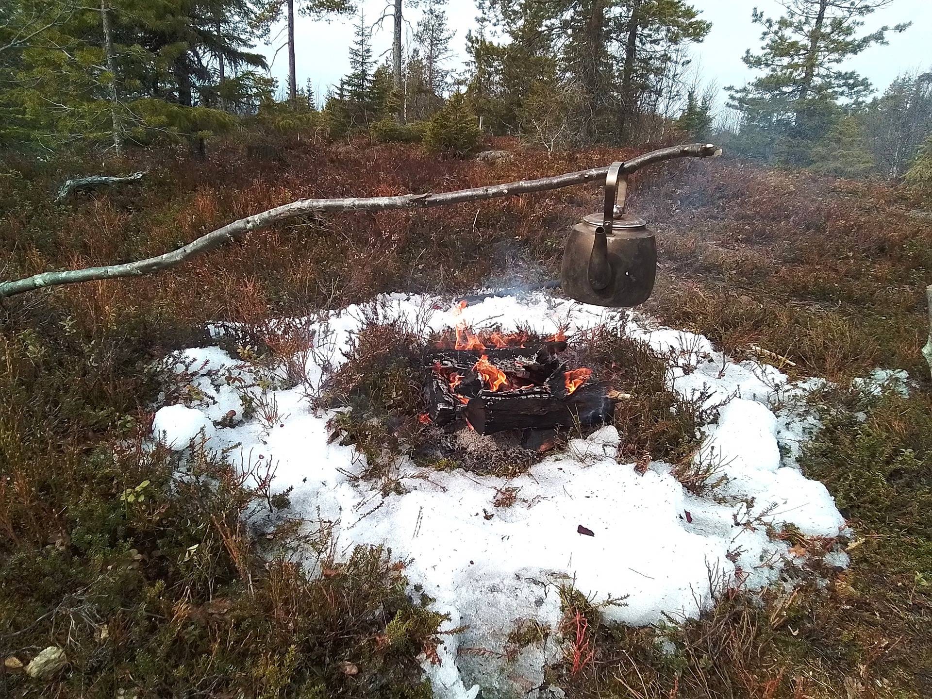 Määräala Pohjois-Kuusamossa Iso Kumpuvaarassa 1