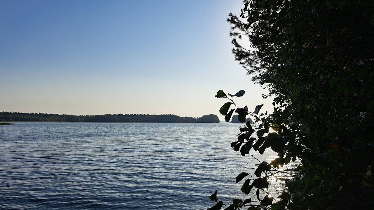 Cover photo for the object Pukkivuori 740-569-1-44