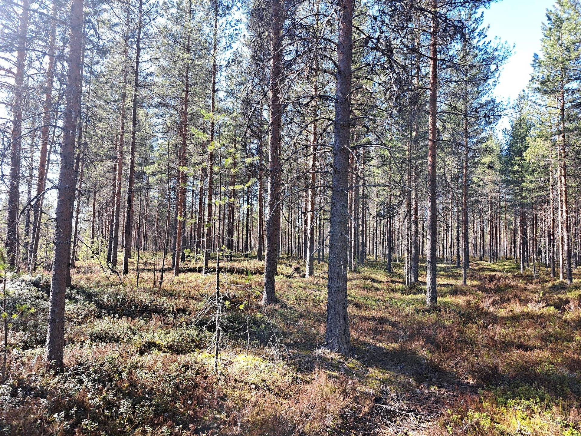Lisätoivola 791-401-97-0 1