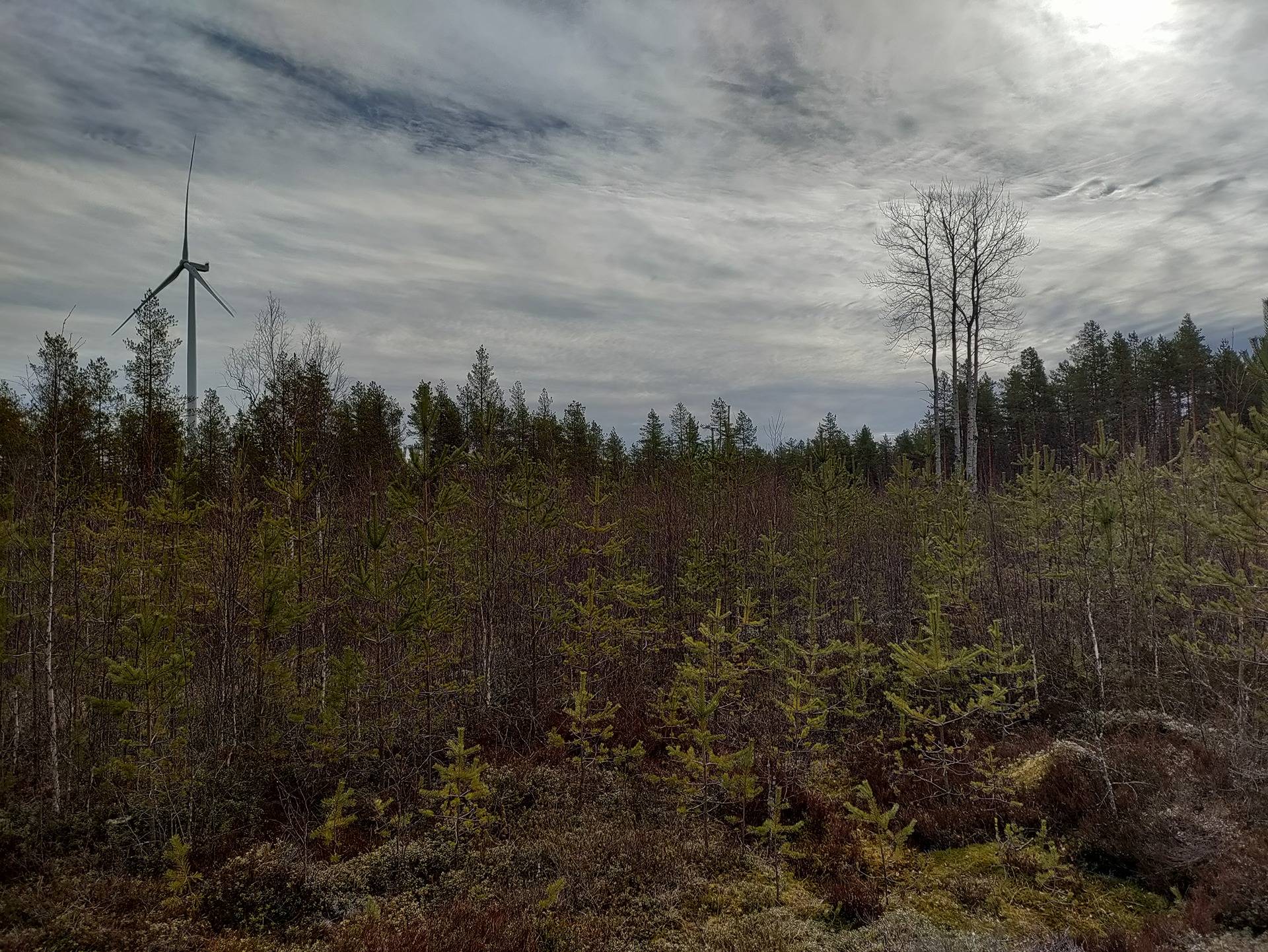 Perämaa 625-401-10-28 1