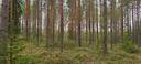Kuortane, YLIHEROJA 300-401-22-192, METSÄ-HEROJA 300-401-22-52 ja METSÄHEROJA II 300-401-22-54 1