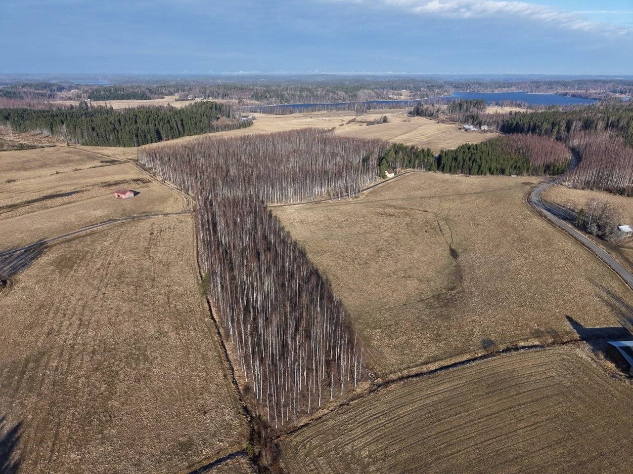 Tampere, Teisko, Velaatta, Hautakorpi, metsätila ja rakennukset 1