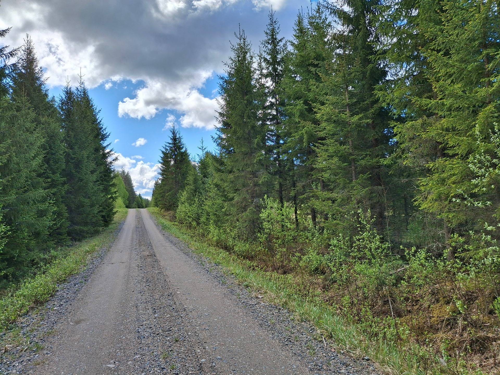 Kumpumäki, Niittysalo 931-408-33-1 1
