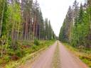 Lappajärvi Tarvola metsätilakohde 12,41 ha 1