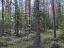 Kumpumäki, Toivola 931-408-16-0 & Äyripuro 931-408-157-0 1