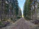 Kangasjärvi 178-450-1-24 1