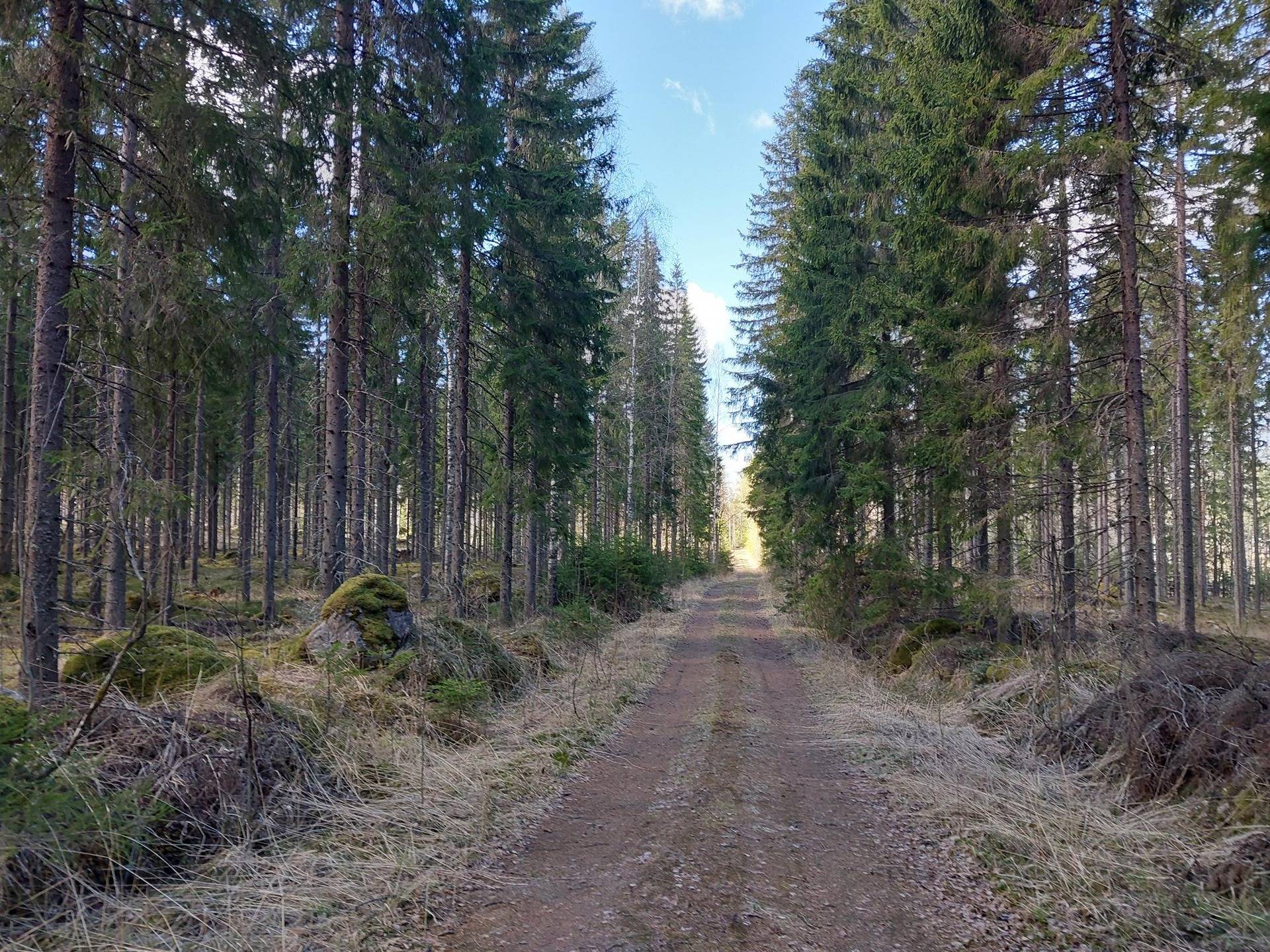 Kansikuva kohteelle Kangasjärvi 178-450-1-24