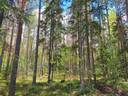 Kivenneva ma 748-415-16-10 ja Lepomaa 748-415-4-37 1