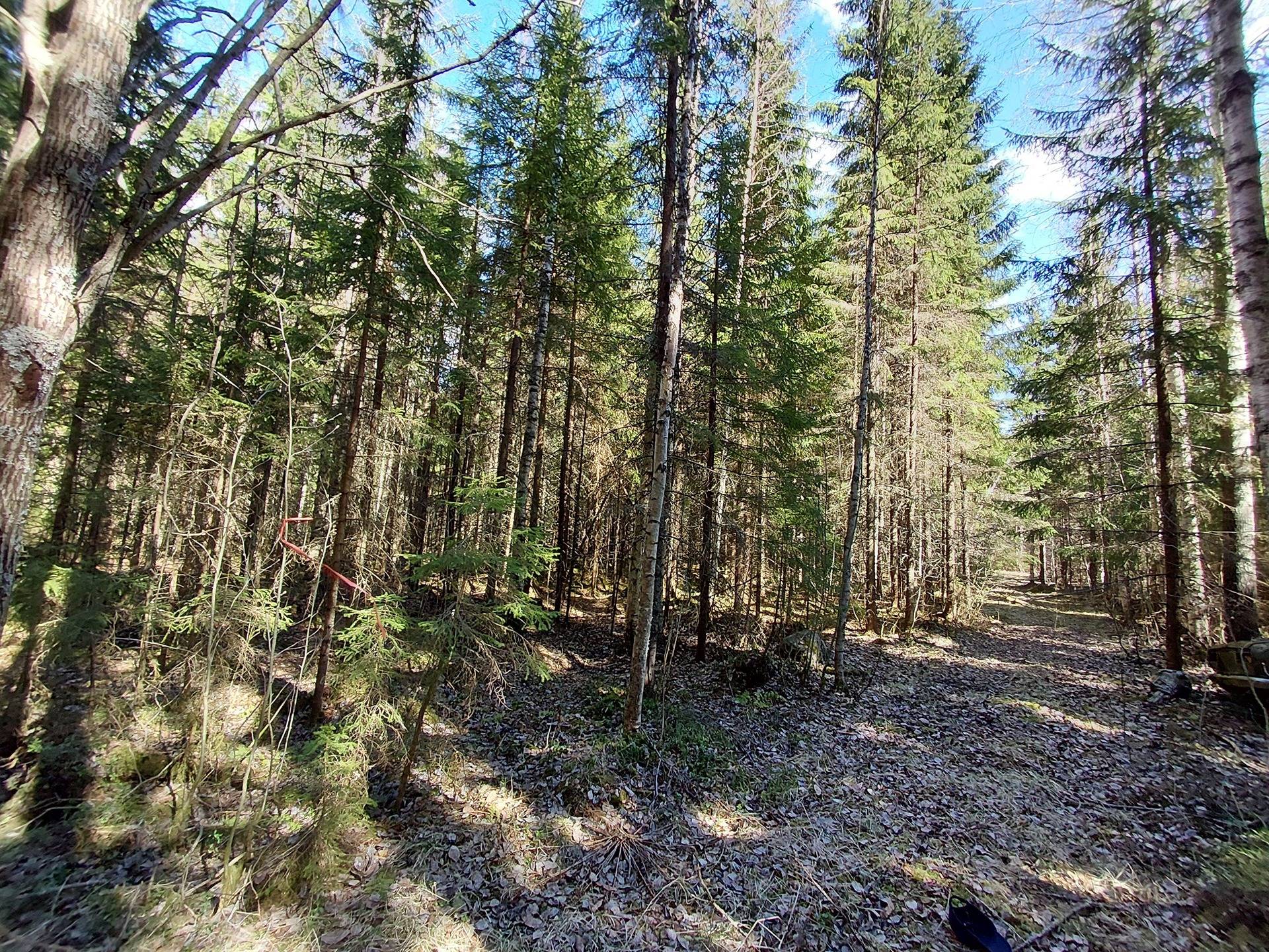 NOTKOLA 4:60 ja KORPELA 7:7, Laidinmäki 1