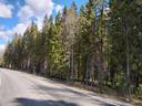 KOIVUAHO 2:13, Pörsänmäki 1