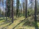 Metsälampi 5:65 Nurmijärvi 1