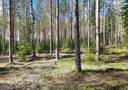 Karvola 2:6 (420-440-2-6) ja Kuhasenranta 9:15 Määräala (420-440-9-15) 1