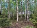 Kumpumäki, Piilolanmaa, 931-408-83-0 1