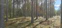 Alajärvi, KANKAANPÄÄ 5-403-6-31 1