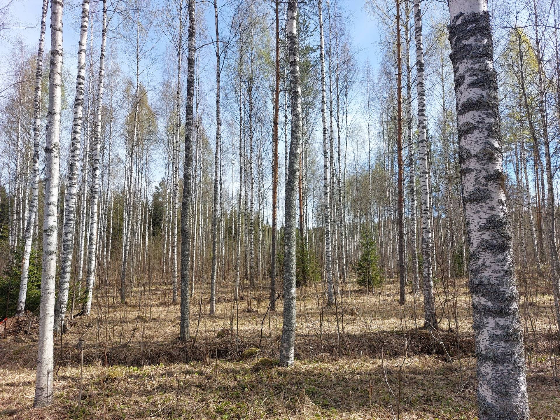 Tiitanranta 580-421-6-58 1