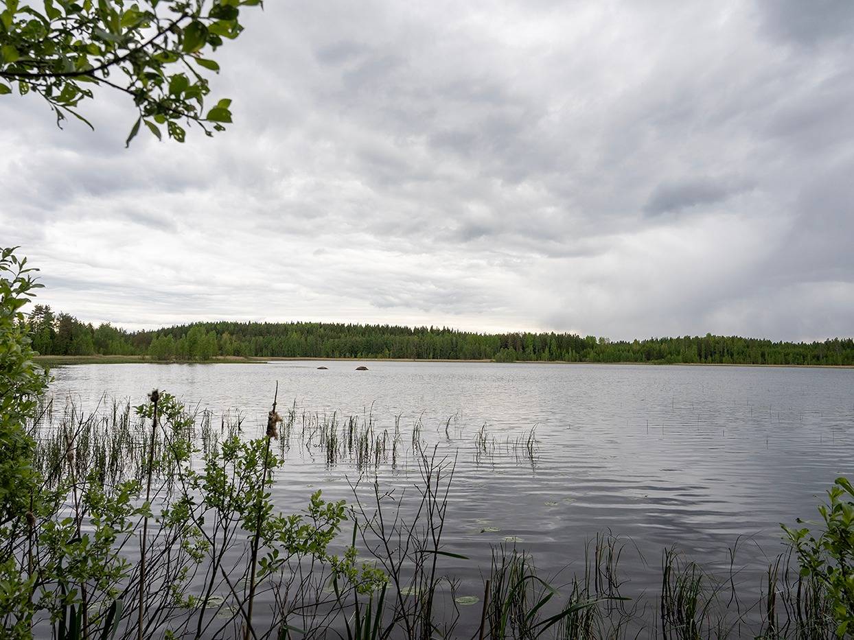 Martinranta 739-431-4-28 1