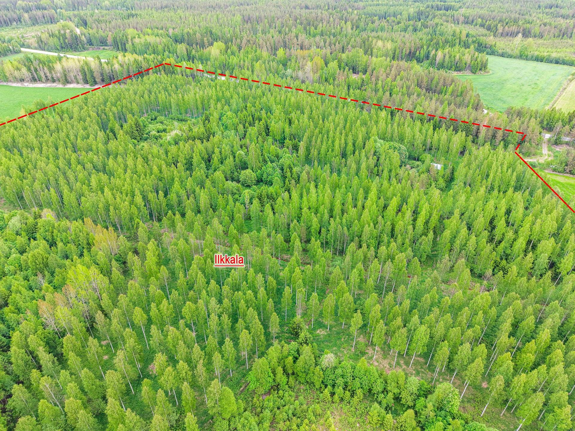 Laihia, Kylänpää, Ilkkala 399-408-3-127, määräala 1