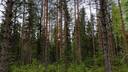 Orilammenkangas 213-413-6-12 1