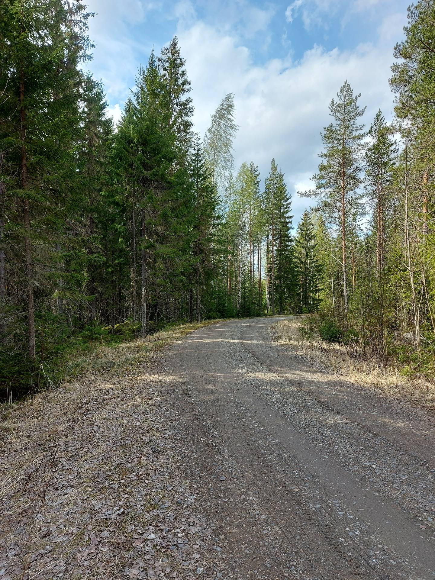 Itälahti 420-426-3-8 ja Savisuo 420-426-3-12 1