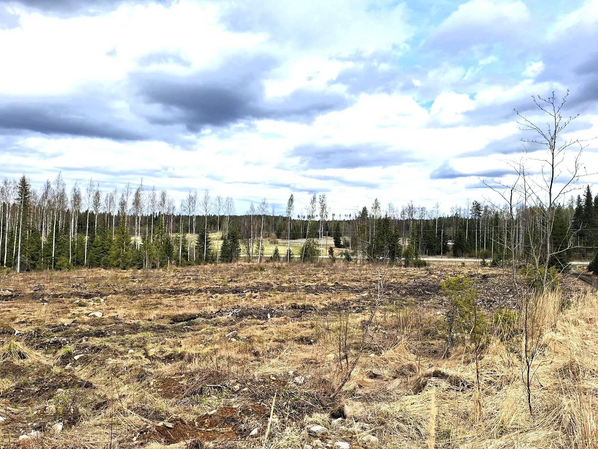 Metsätila Alamäkelä 26:2 1