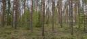 Alajärvi, HÄMEENJOKI 5-401-67-3 1